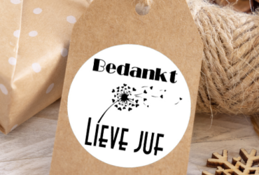 Sluitstickers "Bedankt lieve juf"