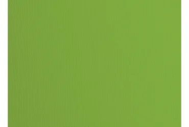 Florence Cardstock Papier met een structuur Olijf 30,5 x 30,5cm (2928-073)