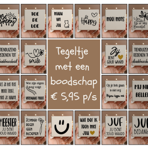 Tegeltje 10x10cm met leuke opdruk