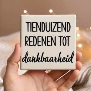 Vinyl sticker passend op een tegeltje van 10x10cm / Tienduizend redenen