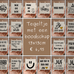 Tegeltje 13x13cm met leuke opdruk