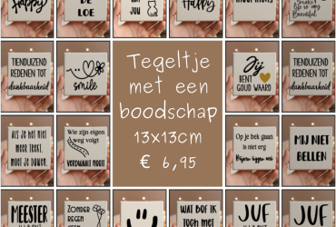 Tegeltje 13x13cm met leuke opdruk